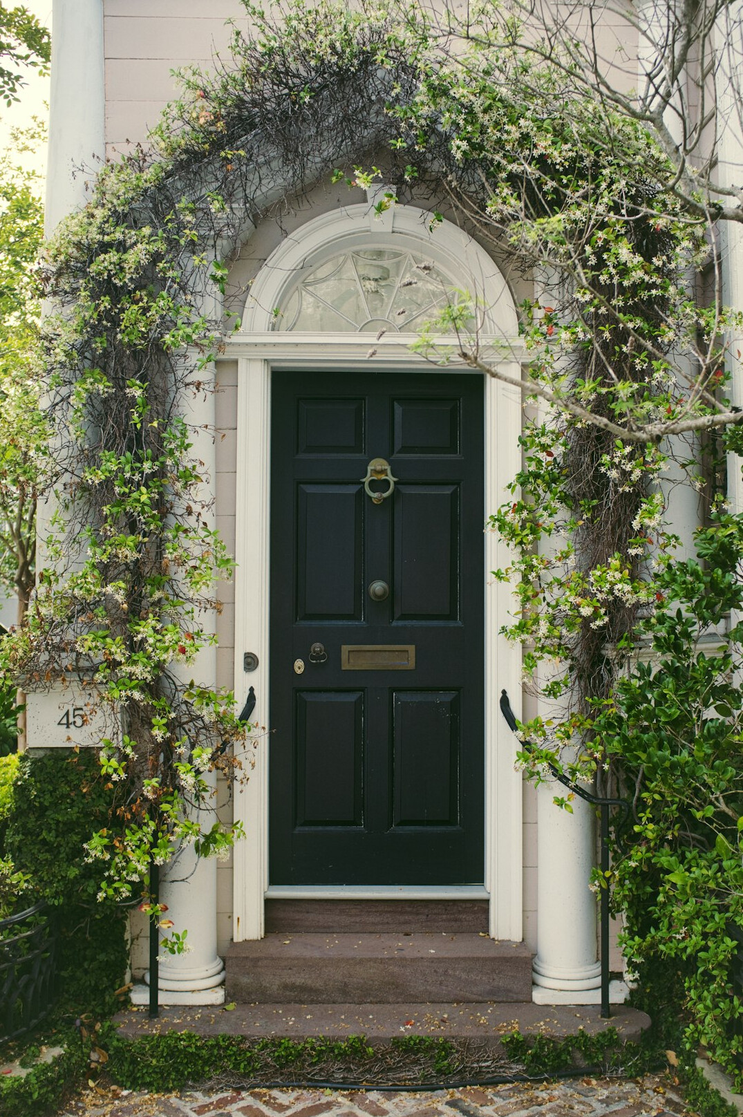 Front entrance door of a house